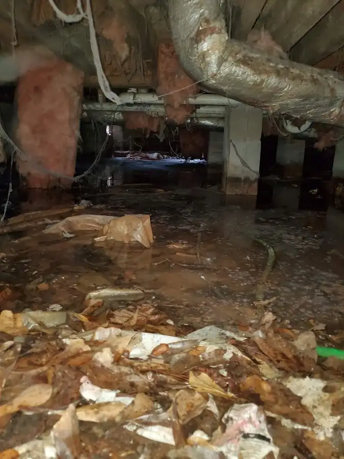 Crawl space flood assessment for Leak Detection & Repair in West Allis