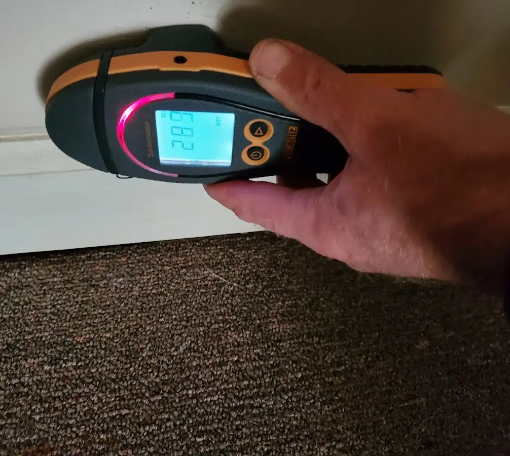 Moisture detection at baseboard during Sewage Cleanup & Sanitation in West Allis